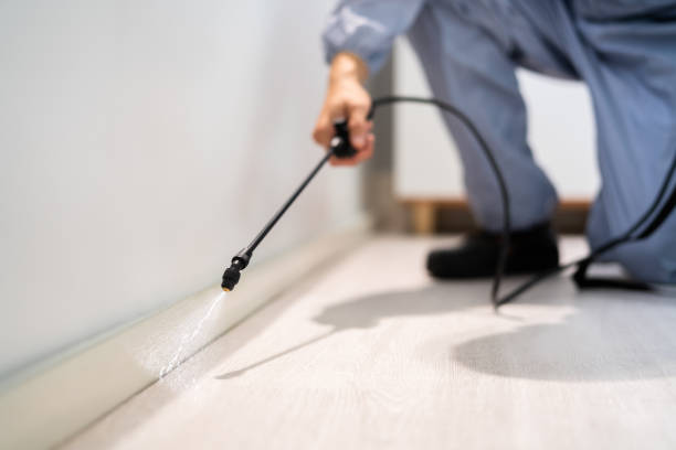 Licensed Termite Control service in Portland, ME - Nex Pest Control