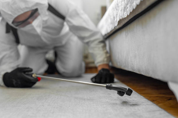 Professional Termite Control technician working in Portland, ME