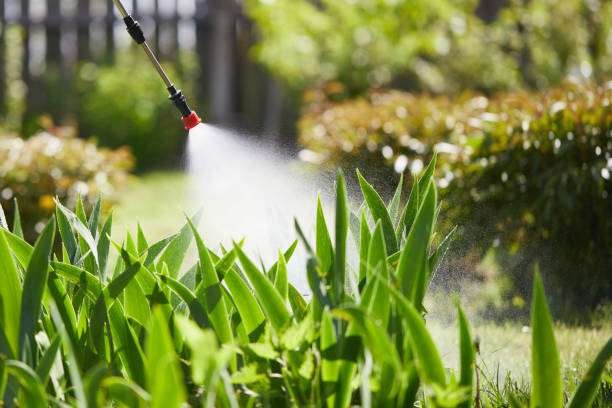 24/7 Emergency Termite Control experts in Portland, ME