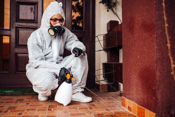 Reliable Termite Control contractor in Portland, ME by Nex Pest Control